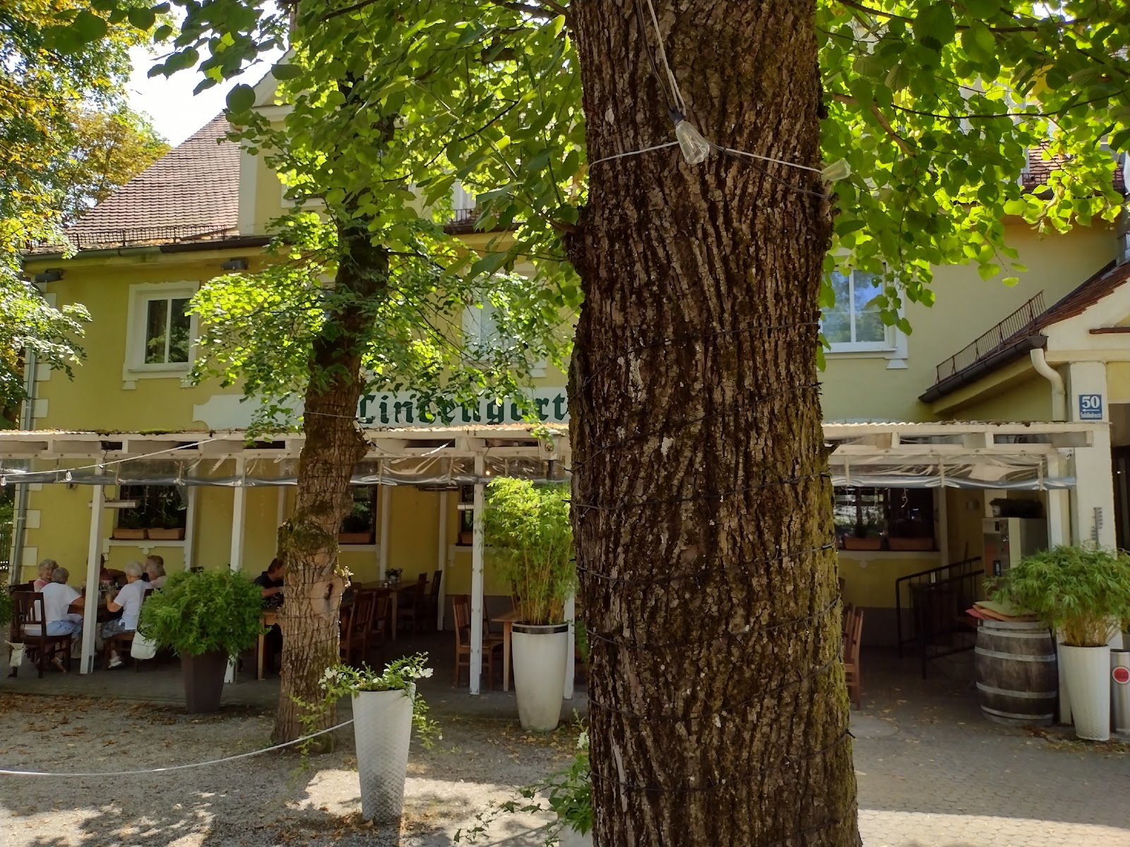 Biergarten des Lindengarten in München im warmen Abendlicht
